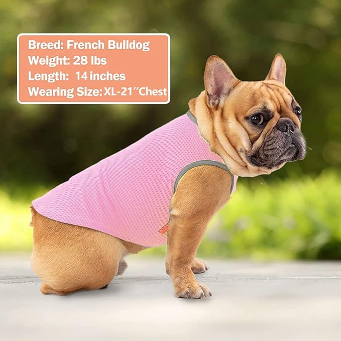 KYEESE 2Pack Dog Cooling Shirt, Breathable Dog Shirt for Small Dogs, Sun Protection Dogs Cooling Vest Tank Top, Lightweight Soft Sleeveless Summer Pet Clothes, Pink+Grey, M