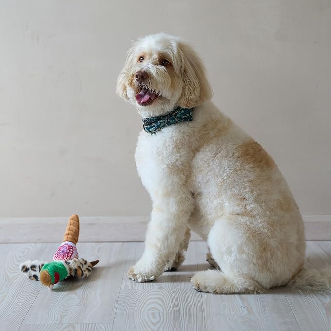 SPOT Bird Calls Plush Dog Toy with Realistic Bird Sound – 12" Sound Chip Toy for Dogs, One of Three Assorted Styles, Engaging Indoor Play for Small and Medium Breeds