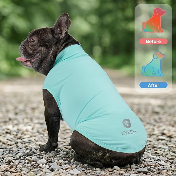 KYEESE 2Pack Dog Cooling Shirt, Breathable Dog Shirt for Small Dogs Boy, Sun Protection Reflective Pet Vest, Lightweight Soft Tank Top Sleeveless Summer Dogs Clothes, Blue, M