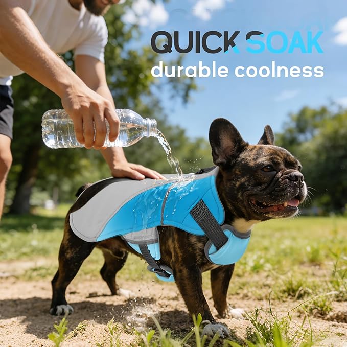 DENTRUN Dog Cooling Vest with Dual Absorbent Core, Adjustable Sun Protective Vest for Hot Weather, Doggie Ice Jacket Hiking Travel Summer Essentials, Reflective, Sun Protective Vest, Blue XXL