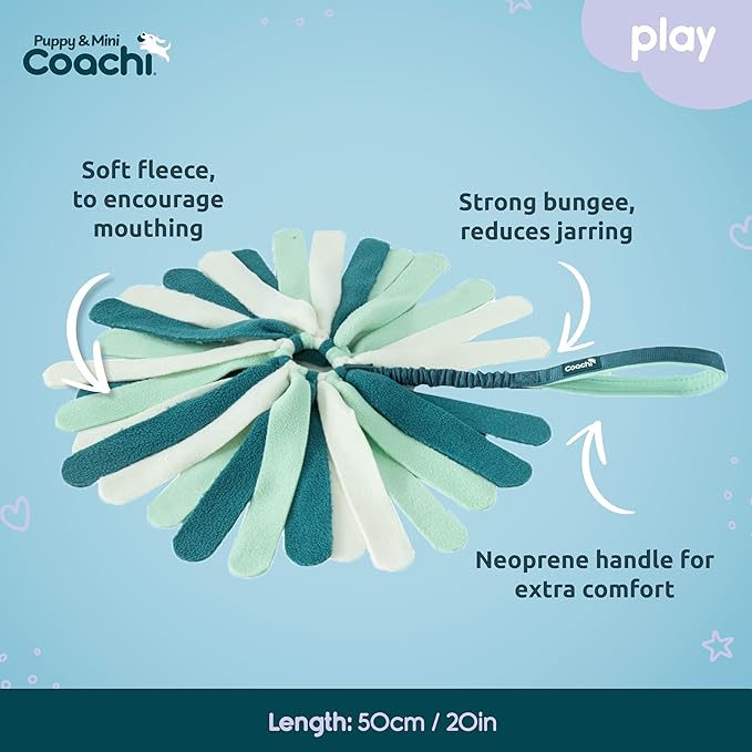 Coachi Puppy & Mini Tuggi Spider - Great for Tug & Play, Strong Dog Toy, Stretchy Bungee Handle, Reward Training, Recall, Agility, Interrupt Biting & Chewing. Suitable for Small Dogs & Puppies