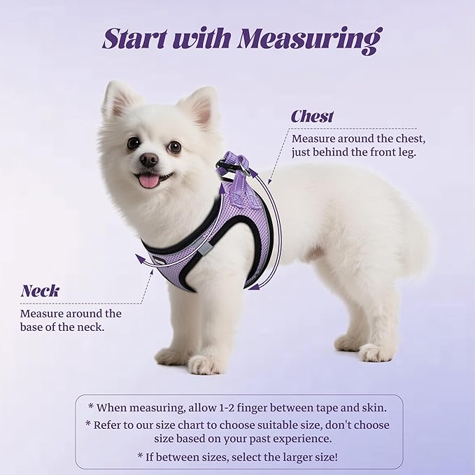 YIMEIS Dog Harness and Leash Set, No Pull Soft Mesh Pet Harness, Reflective Adjustable Puppy Vest for Small Medium Large Dogs, Cats (Taro Purple, Small (Pack of 1)