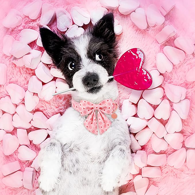 Valentine Dog Collar with Bow Tie, Valentine Bowtie Collar for Puppy Girl Dog or Cat, Cotton Collar with Metal Buckle, Valentine’s Gift Pet Collar, XS, Pink Plaid
