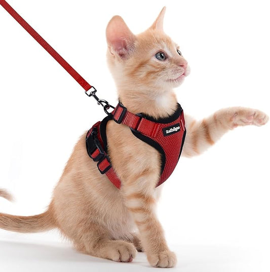 rabbitgoo Cat Harness and Leash Set, Escape Proof Kitten Harness for Safe Outdoor Walks, Soft Breathable Adjustable Vest with Reflective Strips for Kittens and Extra Small Cats, Red, XXS