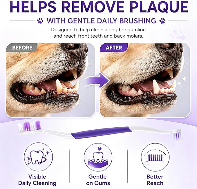 Dog Toothbrush – Newly Upgraded Dual-Head Design with 60° Wavy Bristles–Gently Surrounds Teeth for Deep Cleaning and Plaque Removal – Non-Slip Handle, Ideal for Daily Pet Dental Care (Purple, 1-Pack)