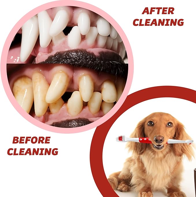 Pet Toothbrush for Dogs, Cats with Soft Bristles - Easy Teeth Cleaning & Dental Care, Non Slip Dual Head Dog Toothbrush for Medium & Large Pets, Toothpaste Not Included (Pack of 2(Red))