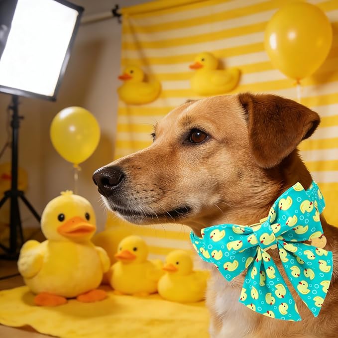 Duck Dog Collar for Boy Dogs, Spring Summer Boy Dog Collar with Sailor Bowtie- Adjustable Sailor Bow Small Dog Collars for Male Dogs XS