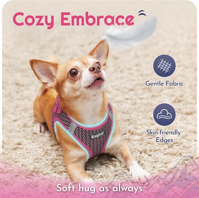 Eagloo Small Dog Harness and Leash Set, Step in Puppy Vest with Breathable Soft Mesh, Walking Reflective Pet Harness for Medium Small Dogs, Rose Red, M
