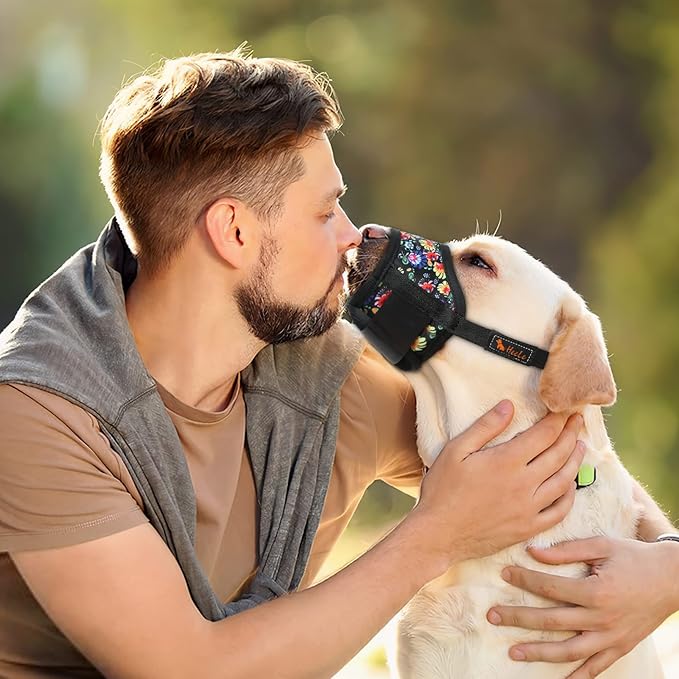 HEELE Dog Muzzle,Soft Nylon Muzzle Anti Biting Barking Chewing,Air Mesh Breathable Drinkable Adjustable Loop Pets Muzzle for Small Medium Large Dogs 4 Colors 4 Sizes (P-Black Sunflower, L)