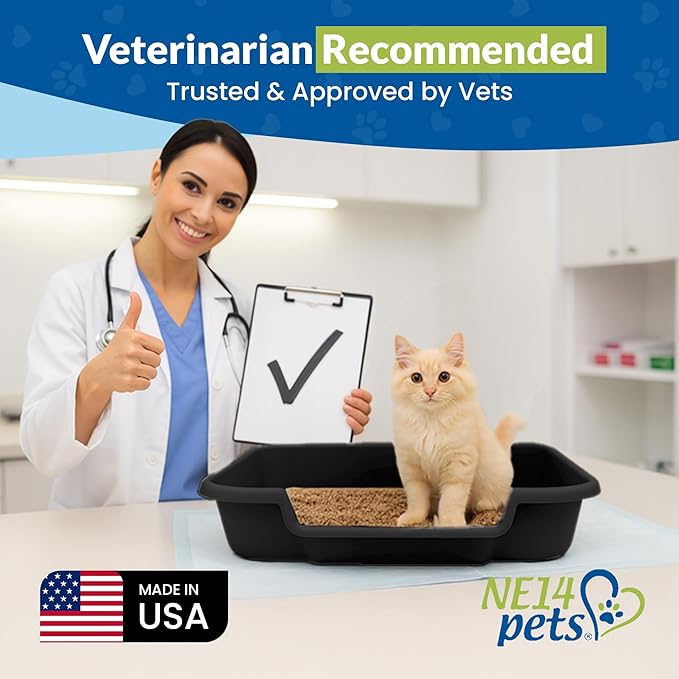 KittyGoHere Senior Cat Litter Box, Large Litter pan with Long-Handle Jumbo Scoop, Open Top Low Entrance Kitty Litter Box, Lightweight Low Entry Litters Box, Durable, Made in USA (2 Pack - Black)
