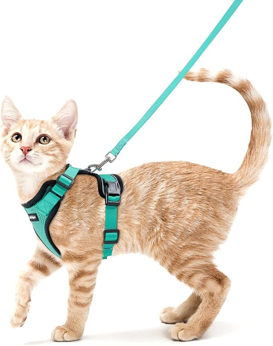 rabbitgoo Cat Harness and Leash Set, Escape Proof Kitten Harness for Safe Outdoor Walks, Soft Breathable Adjustable Vest with Reflective Strips for Kittens and Small Cats, Emerald, XS