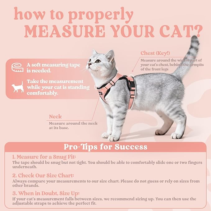 rabbitgoo Cat Harness and Leash Set, Escape Proof Kitten Harness for Safe Outdoor Walks, Soft Breathable Adjustable Vest with Reflective Strips for Kittens and Small Cats, Light Salmon Pink, XS