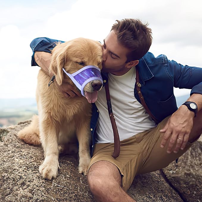 HEELE Dog Muzzle,Soft Nylon Muzzle Anti Biting Barking Chewing,Air Mesh Breathable Drinkable Adjustable Loop Pets Muzzle for Small Medium Large Dogs 4 Colors 4 Sizes (P-Meteor Purple, L)