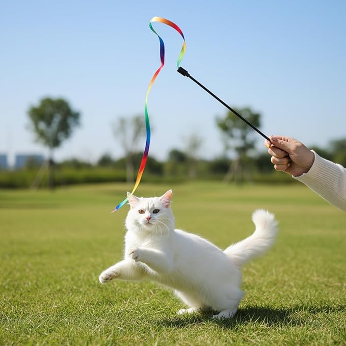 salbsever 5 PCS Cat Ribbon Toy, String Cat Toy, Interactive Colorful Teaser Wandstring with Rainbow Ribbon for Indoor Cats Exercise and Playtime