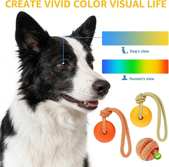 SCENEREAL Floating Dog Pool Toys - Ball on Rope Fetch and Tug-of-War Toy for Medium Large Dogs Outdoor Training, EVA Rubber Water Pet Interactive Toys for Summer Beach, Yellow