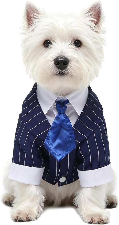 GabeFish Pets Wedding Jackets Suit for Dogs with Bow Tie Puppy Cat Formal Clothes Shirt Tuxedo (BlueStriped, M (Chest 15.3in/39cm)