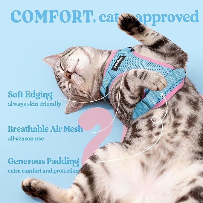 rabbitgoo Cat Harness and Leash Set, Escape Proof Vest Harness for Safe Outdoor Walks, Soft Breathable Adjustable Vest with Reflective Strips for Small and Average Cats, Light Blue & Pink, S