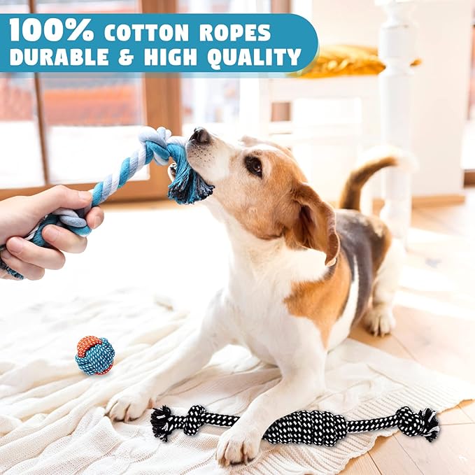Dog Toys Small Dog Chew Toys Dog Teething Toys Squeaky Toys Chihuahua Pomeranian Corgi and PoodlesToys 6 PCS