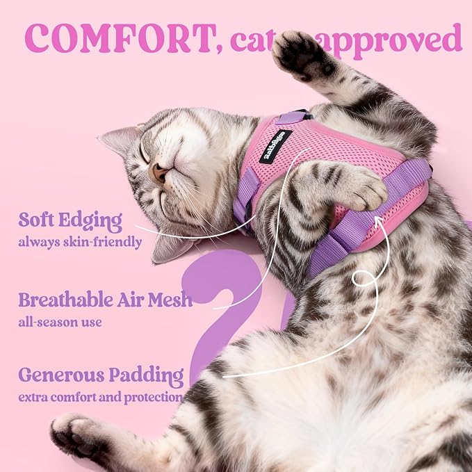 rabbitgoo Cat Harness and Leash Set, Escape Proof Vest Harness for Safe Outdoor Walks, Soft Breathable Adjustable Vest with Reflective Strips for Small and Average Cats, Pink & Purple, S