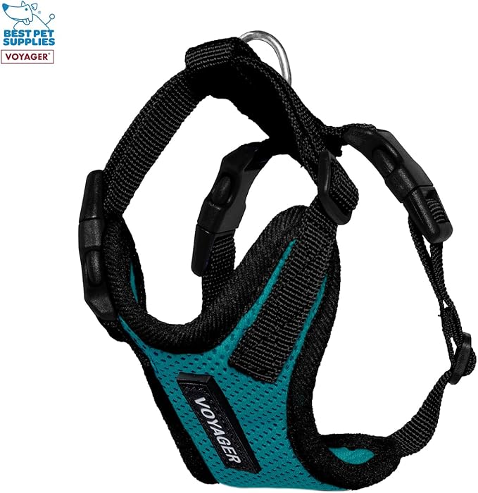 Best Pet Supplies Voyager Step-in Lock Pet Harness w Reflective Pet Leash Combo Set with Neoprene Handle 5ft - Supports Small, Medium and Large Breed Puppies/Cats - Turquoise/Black Trim Set, XXS