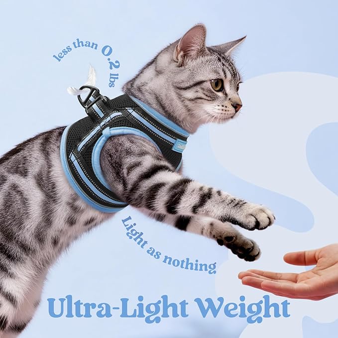 rabbitgoo Cat Harness and Leash, Step-in Escape Proof Kitten Harness Set, Soft Comfortable Cat Vest, Easy to Wear and Adjust, Reflective for Safe Outdoor Walking, Black&Light Blue, Medium
