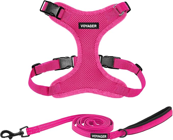Best Pet Supplies Voyager Step-in Lock Pet Harness w Reflective Pet Leash Combo Set with Neoprene Handle 5ft - Supports Small, Medium and Large Breed Puppies/Cats - Fuchsia, S