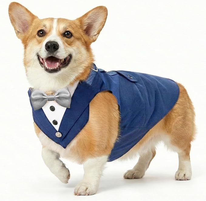 AVERYDAY 2 Pcs Dog Tuxedo & Bandana Set, Dog Suit Costume with Bowtie for Wedding Outfit, Pet Tux Harness with Leash Ring for Party Birthday Christmas, Formal Wear for Small Medium Large Breed