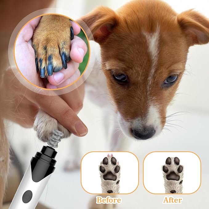 Ptwola Diamond Dog Nail Grinder Bits 1/8" Pet Rotary Toenail Grinder Attachment Dog Claw Grinder Replacement Heads Nail File Wheel for Medium Large Dogs Nail Care Trimming