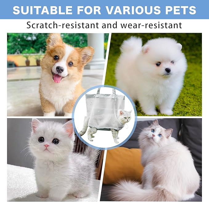 Soft Cat Tote Carrier, Breathable Mesh Pet Bag with Legs-Out Design, Foldable Cat Carrier for Walking, Suitable for Cats and Small Dogs up to 10 lbs Blue