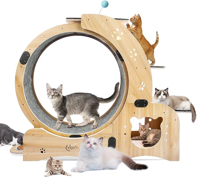 6-in-1 Cat Exercise Wheel – Indoor Silent Running Treadmill for Large Cats, Pet Walking Wheel, Furniture, House, Stand, Bowl, Toy, Wood, 44LB Capacity
