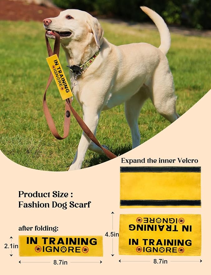 in Training Dog Leash Sleeve - Funny Yellow Alert Wrap with Hanging ID Patch Tag | Service Dog Leash Accessory, Perfect Pet Birthday Gift for Dog Owners