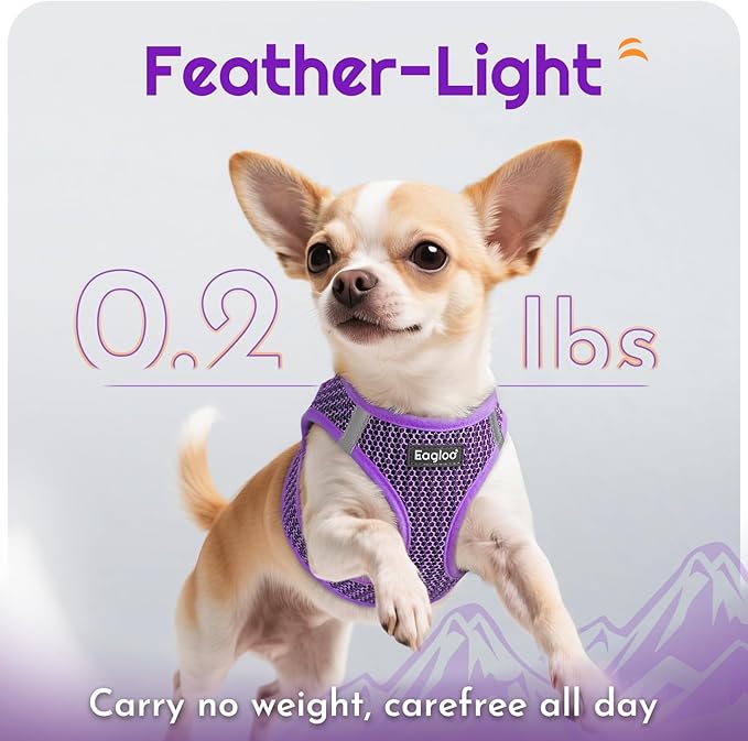 Eagloo Small Dog Harness and Leash Set, Step in Puppy Vest with Breathable Soft Mesh, Walking Reflective Pet Harness for Small Dogs, Purple, XS