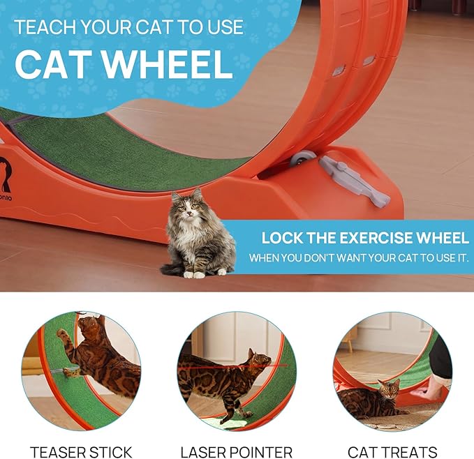 Cat Exercise Wheel, 39.4 Inch Indoor Treadmill for Cats with Carpeted Runway, Screw-Fixed Assembly for Easy Setup, Silent & Safe Fitness Equipment for Most Cats