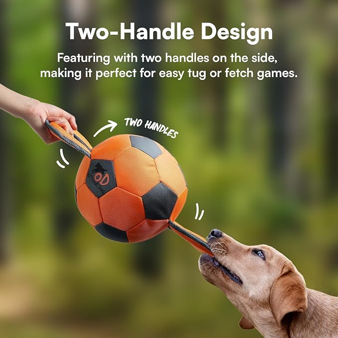 ALL FOR PAWS Ballistic Handle Ball Dog Toy with Squeaker, Interactive Handle Tug of War Ball Toy for Small Medium Large Dogs (Receive one of the Three Colors)