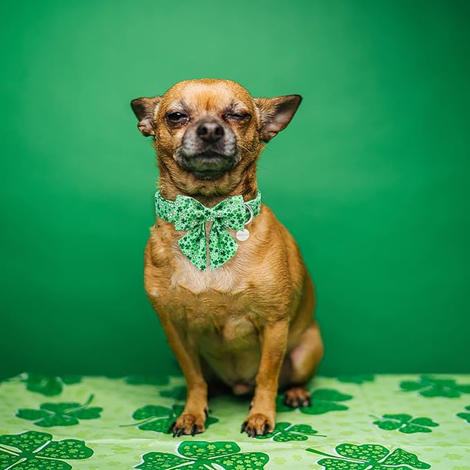 St. Patrick's Dog Collar with Bow Tie, Cotton St. Patrick's Bowtie Collar for Large Girl Boy Dog, Lucky Shamrock Dog Collar with Metal Buckle, Green, Spring, L