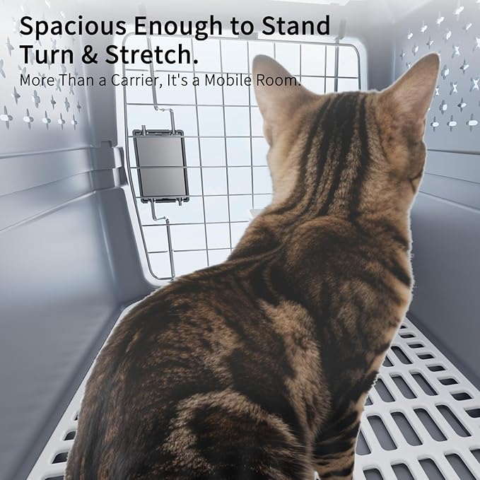 RIZZARI Grey Small Hard Sided Pet Carrier, Portable Ventilated Travel Crate with Metal Door and Handle for Small Dogs and Cats, Perfect for Car Rides, Vet Visits and Daily Use