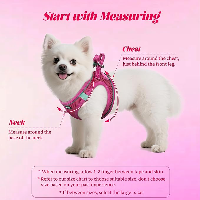 YIMEIS Dog Harness and Leash Set, No Pull Soft Mesh Pet Harness, Reflective Adjustable Puppy Vest for Small Medium Large Dogs, Cats (Rose Red, Medium (Pack of 1)
