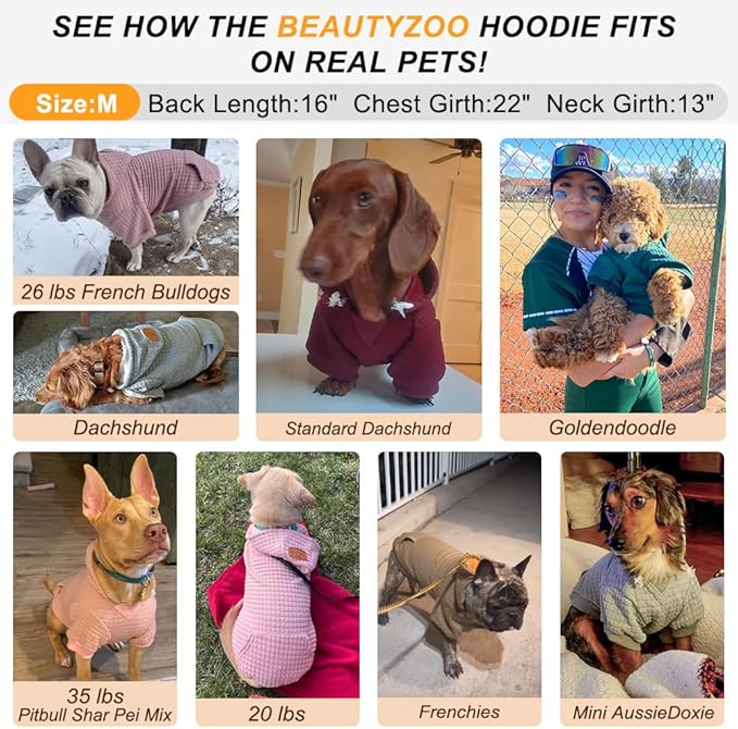 BEAUTYZOO Small Dog Hoodie Sweater with Pockets, Dog Clothes for Small Medium Dogs Boy Girl, Waffle-Like Laminated Cotton Pet Coats with Hat and Leash Hole, Mint Green M