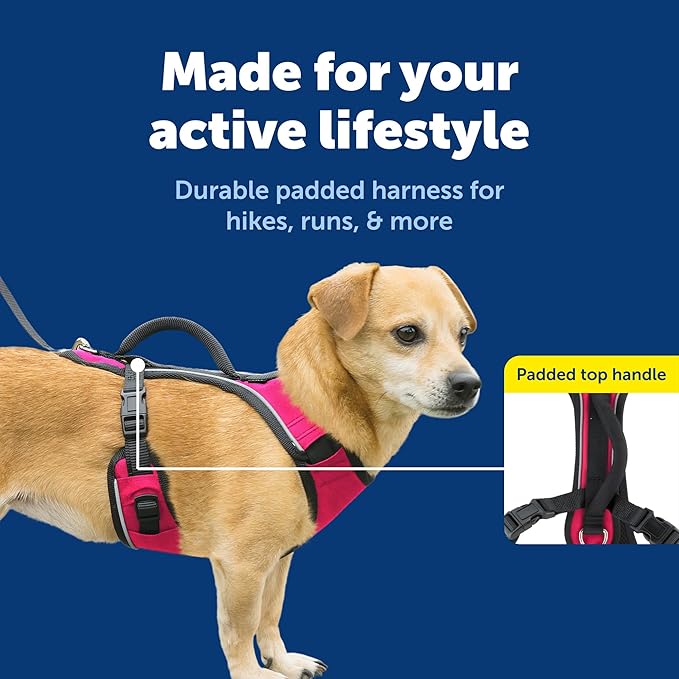 PetSafe EasySport Dog Harness Adjustable Padded Dog Harness with Control Handle and Reflective Piping Extra Small, Pink