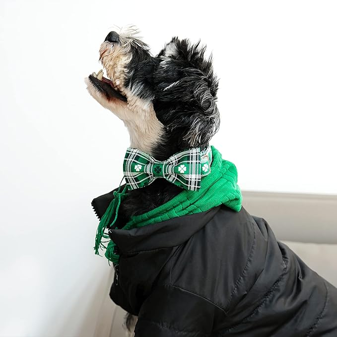 Lionet Paws St Patricks Day Dog Collar with Bowtie, Irish Green Shamrock Clover Bowtie Collar with Metal Buckle for Dogs and Cats, XS, Neck 8-12 in
