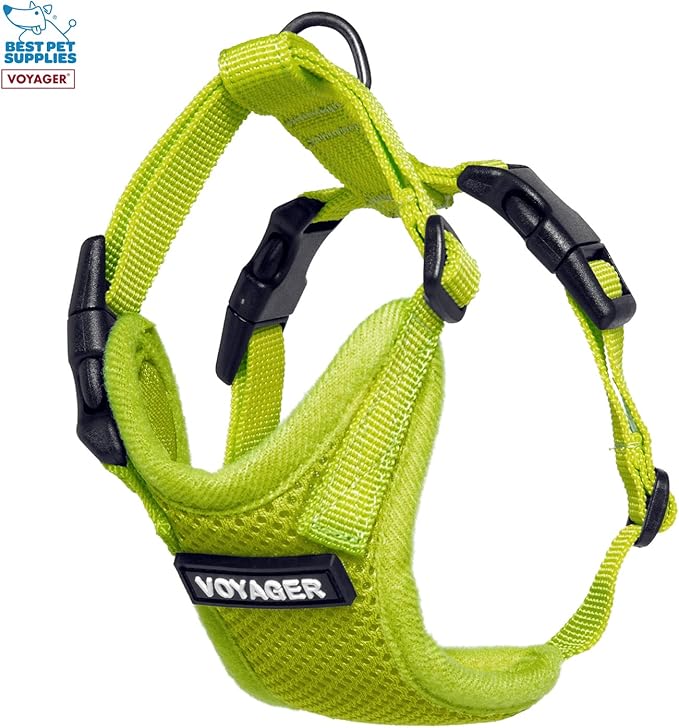 Best Pet Supplies Voyager Step-in Lock Pet Harness w Reflective Pet Leash Combo Set with Neoprene Handle 5ft - Supports Small, Medium and Large Breed Puppies/Cats - Lime Green Set, XXS