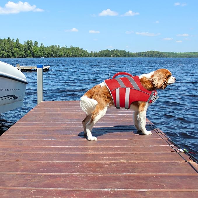 Kuoser Dog Life Jacket with Reflective Stripes, Dog Life Vest for Swimming Boating, Adjustable Pet Lifejackets with High Flotation, Doggie Swimsuit for Small Medium Large Dogs