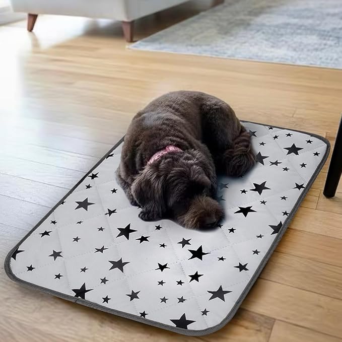 Pesonlook 4 Pack Self Warming Cat Bed Mats Self Heating Pet Mat Soft Gray Star Pattern Crate Pad Thermal Pet Mat Kennel Anti Slip Washable Warming Bed Mats for Outdoor and Indoor (18 x 24 inch)