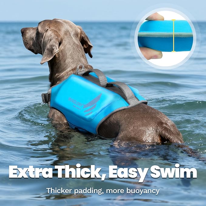 VIVAGLORY High Buoyancy Dog Life Vest, Swimming Vest with Handle, Dog Life Jacket for Swimming & Boating, Buoyancy for Puppy Doggy, XL, Blue