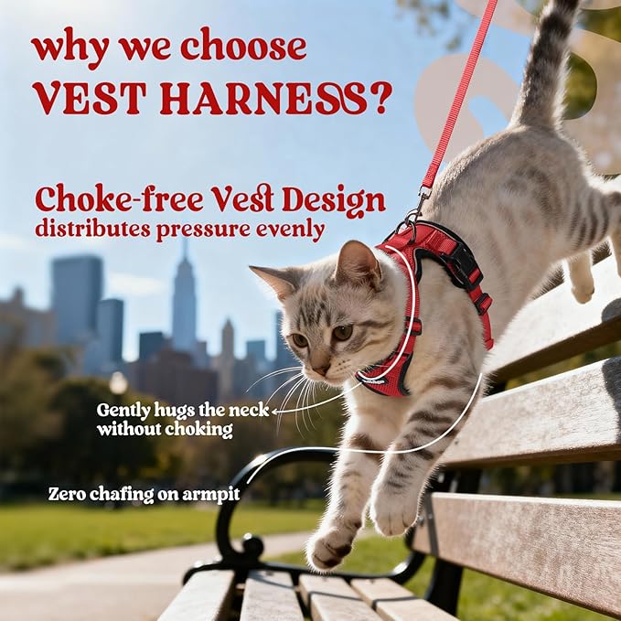 rabbitgoo Cat Harness and Leash Set, Escape Proof Vest Harness for Safe Outdoor Walks, Soft Breathable Adjustable Vest with Reflective Strips for Average to Large Cats, Red, M