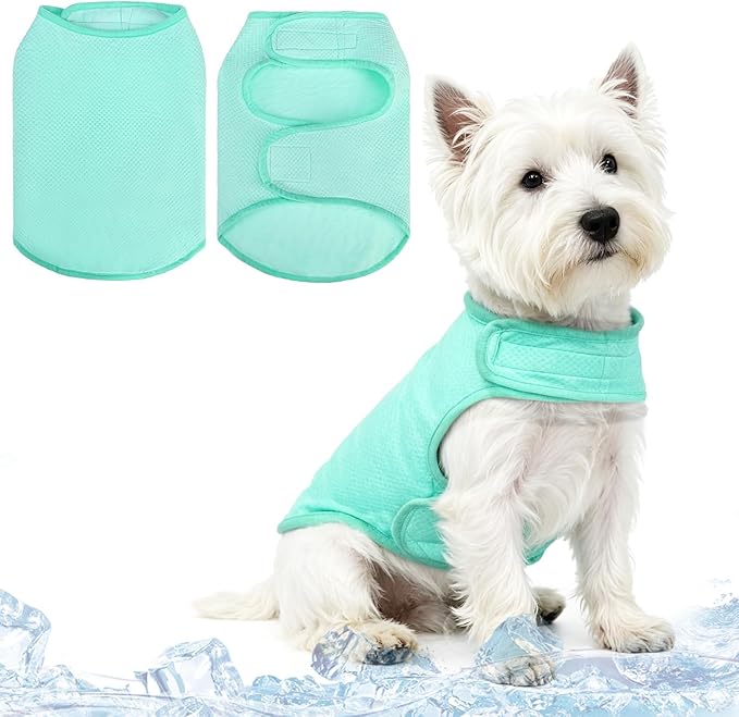 PUPTECK Dog Cooling Vest, Breathable Mesh PVA Dog Shirt, Lightweight Soft Instant Chill Sleeveless Pet Clothes, Adjustable Cooler Jacket Puppy Outfit for Hot Summer Outdoor, Green M