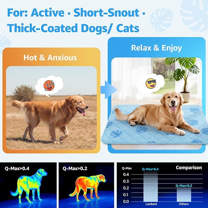 LOOBANI Dog Cooling Mat for Large Dogs 65"x48"- Pet Cooling Mat with Anti-Slip Bottom, Waterproof Self-Cooling Dog Pad for Crate, Floor & Car, Grey Monstera (Blue, 65"x48")