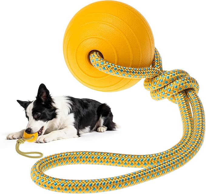 SCENEREAL Floating Dog Pool Toys - Ball on Rope Fetch and Tug-of-War Toy for Medium Large Dogs Outdoor Training, EVA Rubber Water Pet Interactive Toys for Summer Beach, Yellow