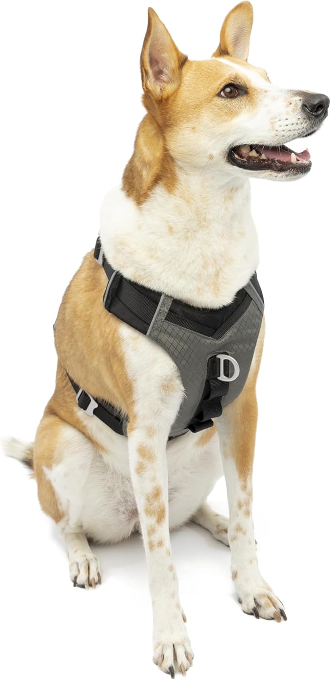 Kurgo Journey Air Dog Harness - Secure Fit for Active Dogs - Padded Chest - Lightweight Ripstop Fabric - Breathable Mesh - Reflective Trim - Back Assist Handle - Black- X-Large