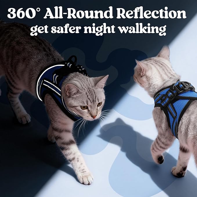 rabbitgoo Cat Harness and Leash, Step-in Escape Proof Kitten Harness Set, Soft Comfortable Cat Vest, Easy to Wear and Adjust, Reflective for Safe Outdoor Walking, Blue, X-Large